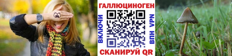 Галлюциногенные грибы Cubensis закладки Орск